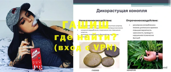 эйфоретик Коряжма