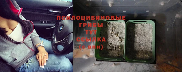 эйфоретик Михайловск