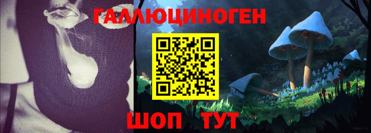 Кудымкар  Галлюциногенные грибы Cubensis  Вход с VPN  Галлюциногенные грибы мицелий 